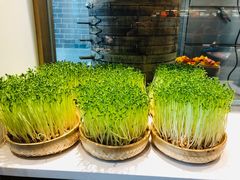 -千稻剁椒大鱼头(CityOn熙地港店)