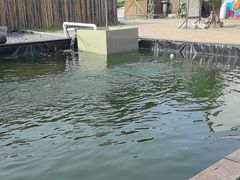 -DGE季风钓虾营地·团建·聚会