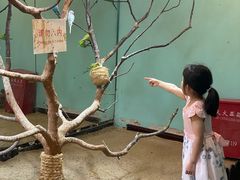 -上海大自然野生昆虫馆(东方明珠·爬宠昆虫探索中心)
