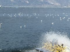 -云南滇池花园国际大酒店温泉