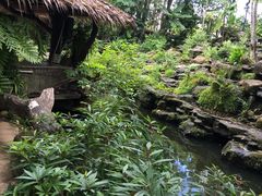 -绿光森林餐厅
