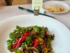鲁甸花椒芽螺丝椒独蒜红葱菌-云腾食府·云南菜