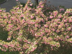 -苏州卫生职业技术学院(石湖校区)