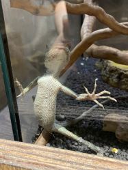 -Zoolung Zoolung动物主题公园(海信广场店)