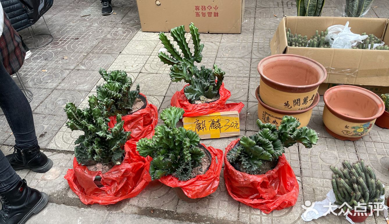 西仓记忆，感受浓厚的生活气息来这里