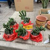 西仓记忆，感受浓厚的生活气息来这里