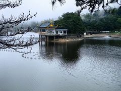 -庐山风景区花径公园