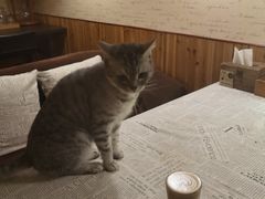 -隅cafe(傅厚岗店)