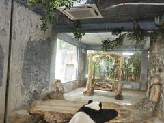 -海南热带野生动植物园