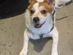 -argangKaffe(宝庆路店)