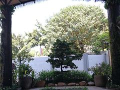 -大树头·花园餐厅(市桥店)