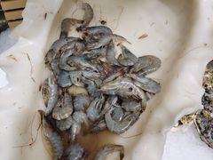 -比尔森韩式烤肉自助(国商店)