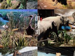 -武汉园博园(武汉自然博物馆)