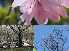 -福州大学(旗山校区)