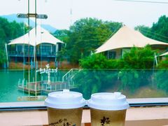 -帐篷客·溪龙茶谷度假酒店