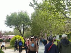 -太阳宫公园