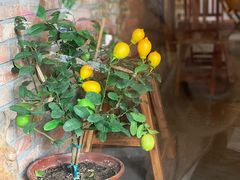 -春庄咖啡SpringHues(钟楼小区店)