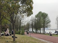 -苏州湾体育公园
