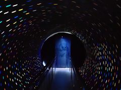 -贝壳梦幻世界