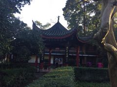 -峨眉山报国寺