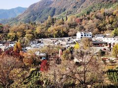 -塔川景区