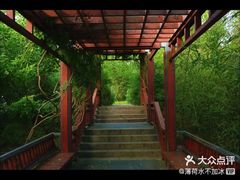 -北坞公园