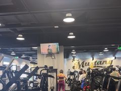 -TMG潮流健身(奥体莲荷里店)