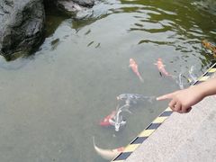 -江宁织造博物馆