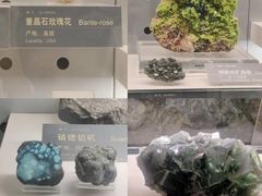 -中国地质博物馆