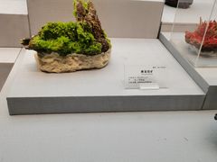 -湖南省地质博物馆