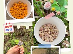 -深圳凯宾斯基酒店