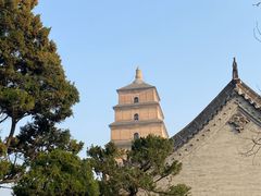 -大慈恩寺(大雁塔)