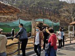 -大连森林动物园