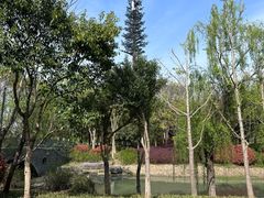 -贡湖湾湿地公园