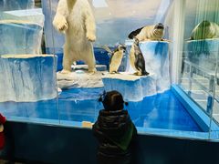 -国家自然博物馆