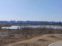 -白水寺森林公园