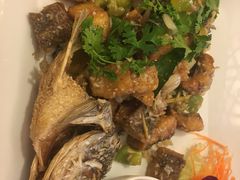 -Daddy Nimman Chiang Mai