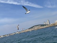 -威海国际海水浴场旅游区