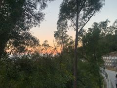 -板樟山森林公园