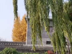 -朝阳公园体育中心