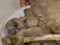 -马有川机场羊羔肉(总店)