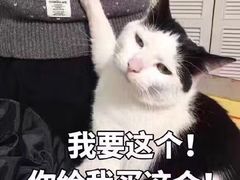 -金龙咖喱