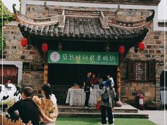 -莫愁村问君老酸奶