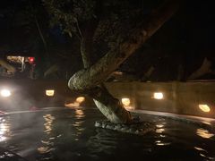 -天门沟九州驿站树上汤泉