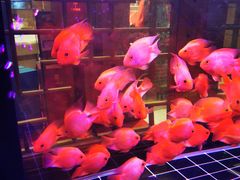 -金百万(亦庄店)