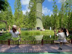 -黄海国家森林公园