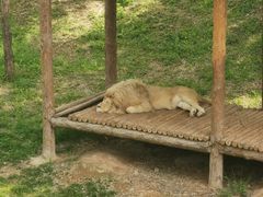 -石家庄市动物园