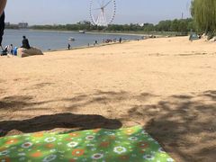 -济南国际园博园