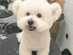 -帕帕拉兹宠物(亚洲旗舰店)