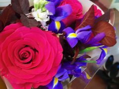 -BEAST野兽派(上海浦东嘉里城店)